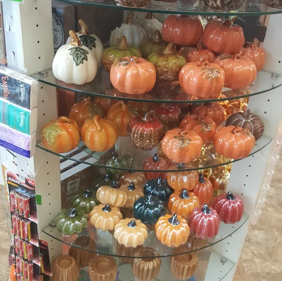 Meet your Posher🍄🐾☘️ - Picture 9 of 12